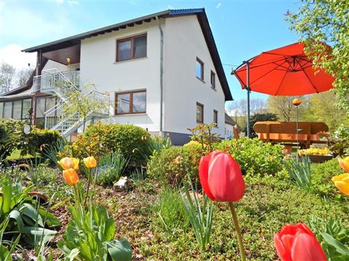 Sommerhus - 4 personer -  - Zerfer Str. - 54314 - Vierherrenborn