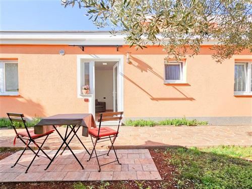 Ferielejlighed - 2 personer -  - Novigrad (Istra) - 52466