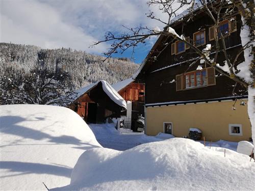 Holiday Home/Apartment - 7 persons -  - Neusess - 5570 - Mauterndorf