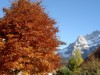 Image 10 - Outside