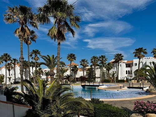 Holiday apartment - 3 persons -  - 04740 - Roquetas De Mar