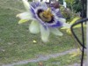 Bild 9 - Innen
