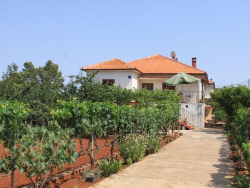 Holiday apartment - 3 persons -  - Kaštel - 23275 - Ugljan