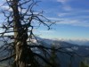 Billede 20