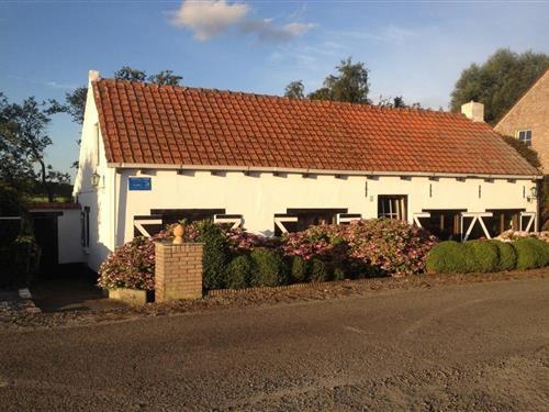 Feriehus - 4 personer -  - 4513KS - Hoofdplaat