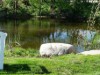 Bilde 4