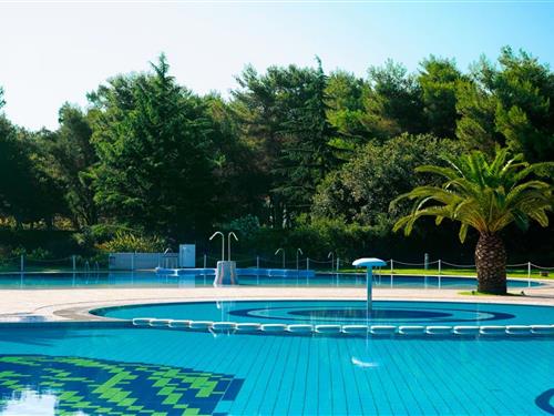 Chalet - 6 personer -  - 81030 - Baia Domizia (Ce)