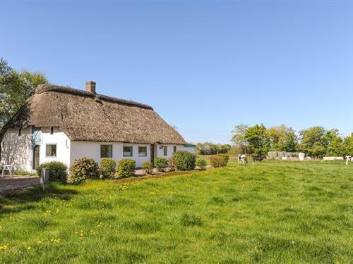 Ferienhaus - 3 Personen -  - Abterp - Tönder - 6261 - Bredebro