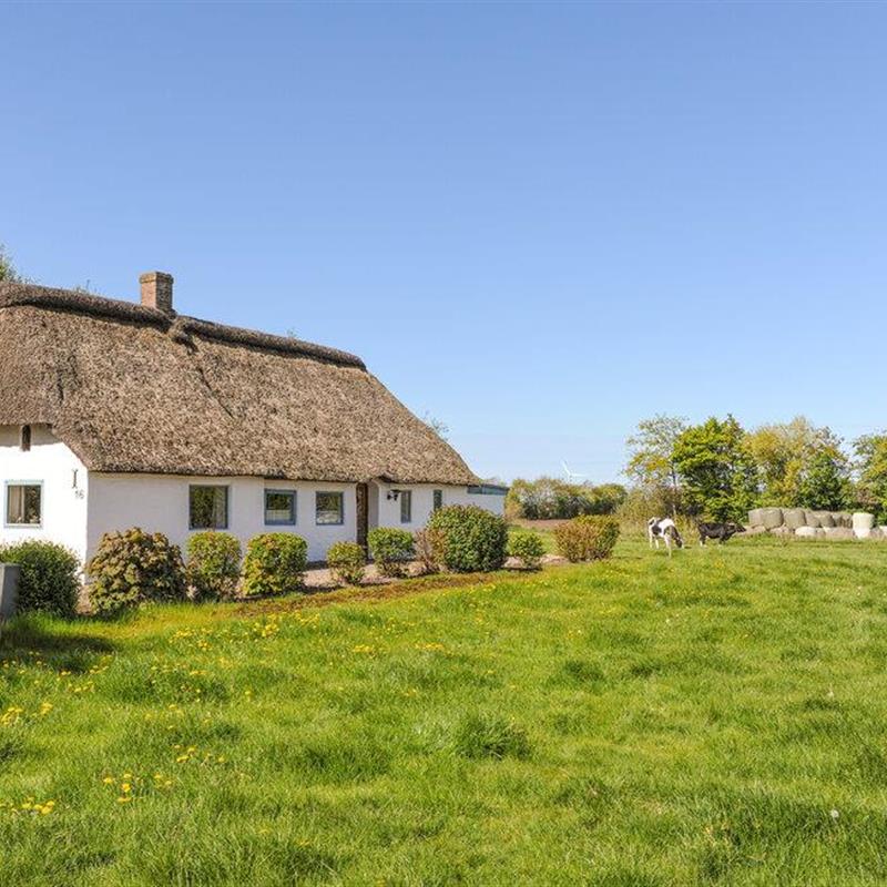 Ferienhaus - 3 Personen -  - Abterp - Tönder - 6261 - Bredebro