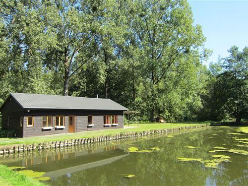 Ferienhaus - 4 Personen -  - 5590 - Braibant Ciney