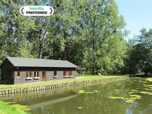 Sommerhus - 4 personer -  - 5590 - Braibant Ciney