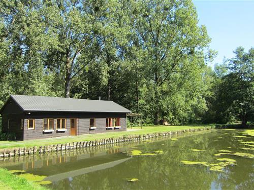 Holiday home - 4 persons -  - 5590 - Braibant Ciney