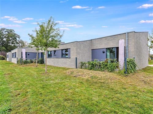 Feriehus - 8 personer -  - Lembruch - 49459