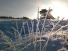 Bild 22