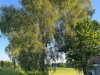 Bild 20