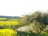 Image 13