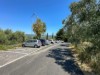 Billede 1