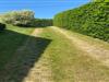 Bilde 37