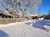 Billede 16 - Ude