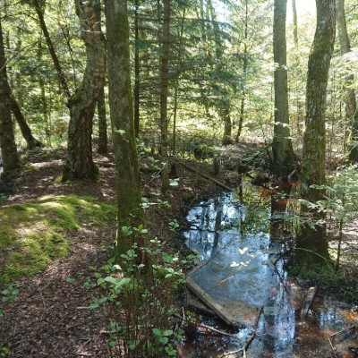 Billede 3
