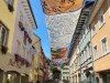 Billede 17