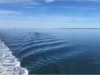 Billede 34