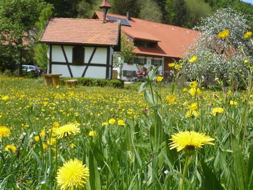 Ferienhaus - 5 Personen -  - Krummen - 88316 - Isny-Eisenbach