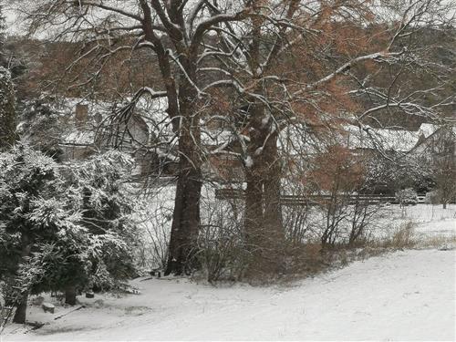 Ferielejlighed - 8 personer -  - Kleine Dorfstraße - 03172 - Schenkendöbern