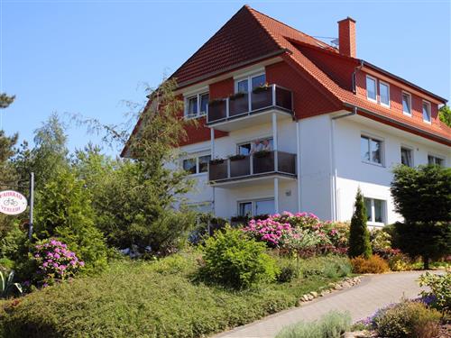 Ferienhaus - 2 Personen -  - Fritz-Reuter-Straße - 29640 - Schneverdingen