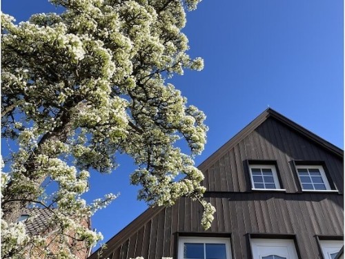 Ferienhaus - 2 Personen -  - 23769 - Fehmarn Burg