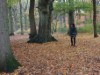 Bild 18