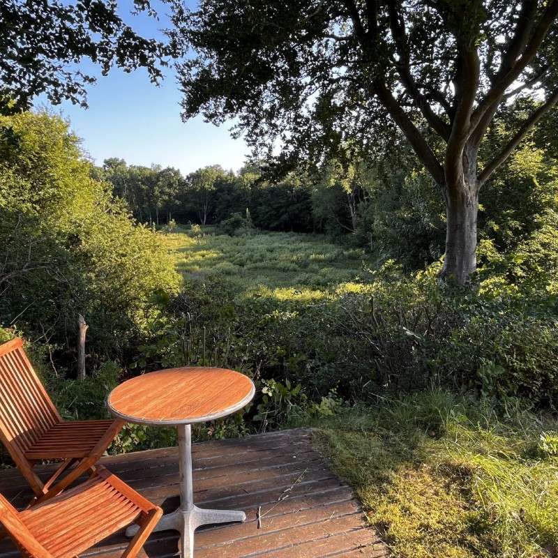 Ferienhaus - 8 Personen -  - Løvsangervej - Nordsjælland - 3080
