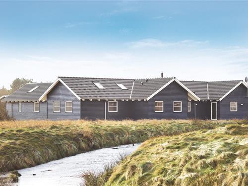 Sommerhus - 24 personer -  - Mosevej - 6853 - Vejers Strand