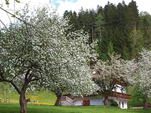 Feriehus - 7 personer -  - Lindenweg - 6265 - Hart Im Zillertal
