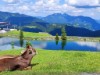 Bild 14