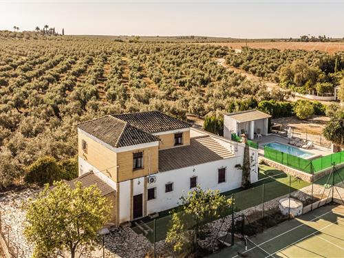 Sommerhus - 11 personer -  - DS Diseminados Los Arenales - 14500 - Puente Genil