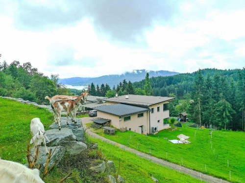 Holiday home - 7 persons -  - 9212 - Techelsberg