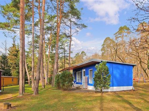 Feriehus - 4 personer -  - Seestraße - Rheinsberg Ot Warenthin - 16831 - Rheinsberg Ot Warenthi