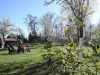 Bilde 2
