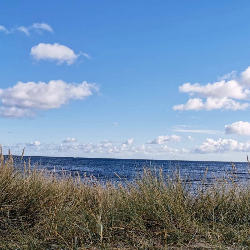 Ferienhaus - 5 Personen -  - Østerstrand - 9370 - Hals
