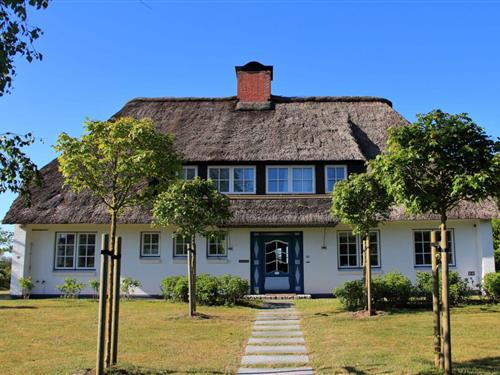 Feriehus - 6 personer -  - 25938 - Nieblum