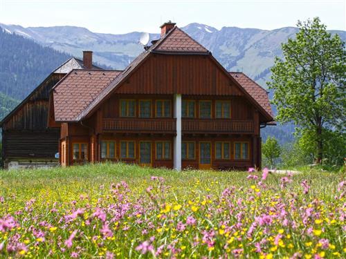 Holiday apartment - 8 persons -  - Donnersbachwald - 8953 - Donnersbach