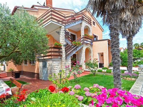 Holiday Home/Apartment - 2 persons -  - Istarska - 52466 - Novigrad