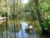 Image 23