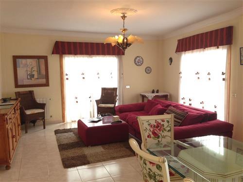 Holiday apartment - 4 persons -  - Icod De Los Vinos - 38430