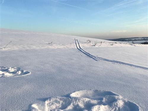 Holiday apartment - 3 persons -  - Am Paradies - 37431 - Bad Lauterberg