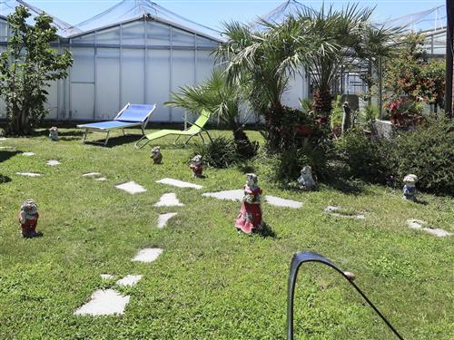 Ferielejlighed - 5 personer -  - Albenga - 17031