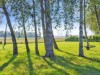 Billede 28 - Grund