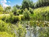 Bild 31 - Ude