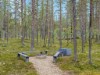 Bilde 31 - Inne